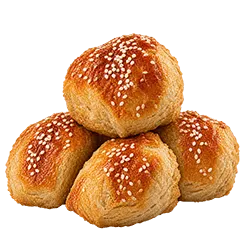 بارسبانی